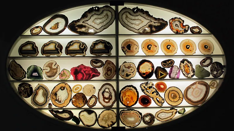 Museo di storia naturale dell’Università di Firenze - Sezione mineralogia e litologia