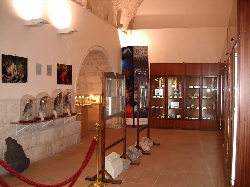 Museo di storia naturale di Melilli