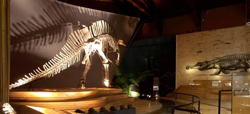 Museo di storia naturale di Venezia