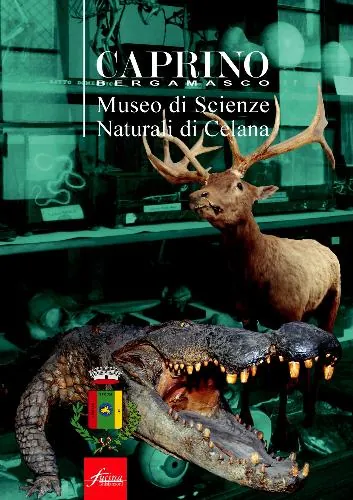 Museo di storia naturale Don Bernardino Gavazzeni