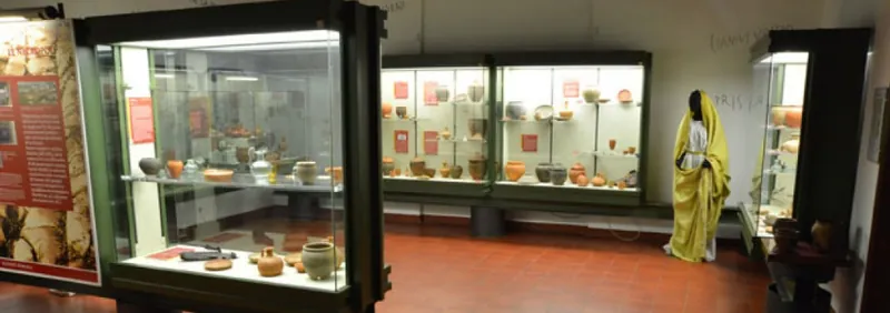 Museo di storia naturale e archeologia