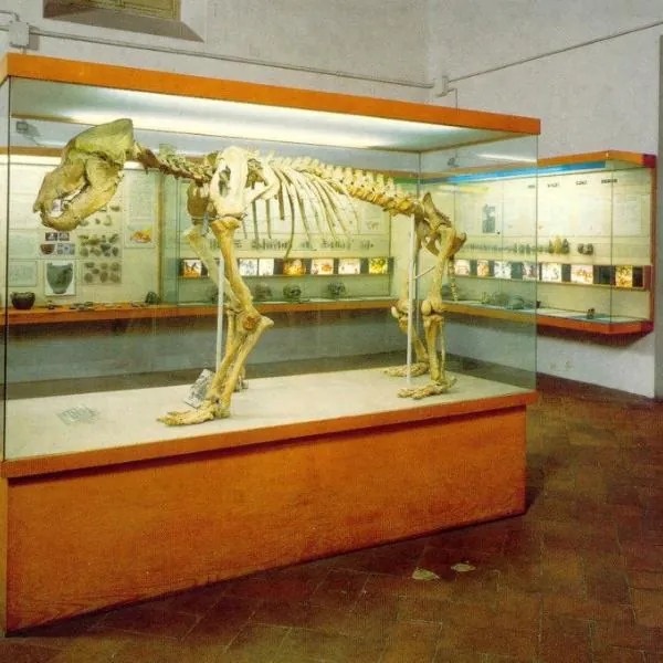 Museo e Istituto fiorentino di preistoria "Paolo Graziosi"