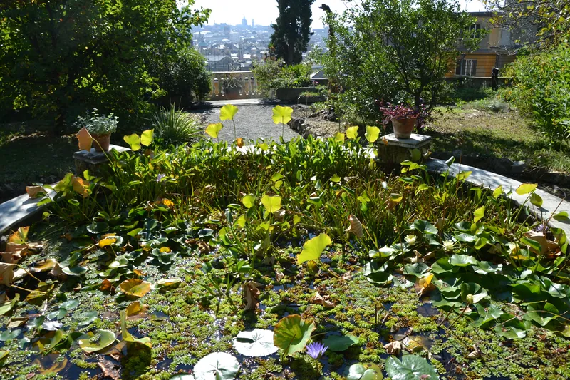 Museo e orto botanico dell’Università di Genova