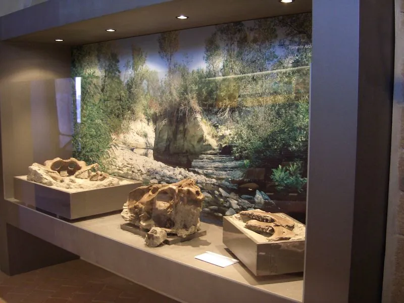 Museo geologico "G. Cortesi"