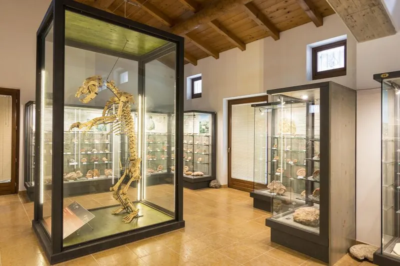 Museo geopaleontologico di Camposilvano