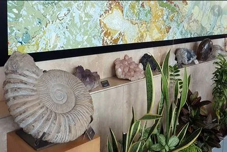Museo Giardino geologico "Sandra Forni"