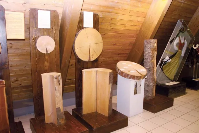 Museo La Foresta