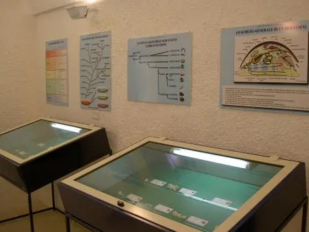Museo malacologico delle argille e Parco dei fossili