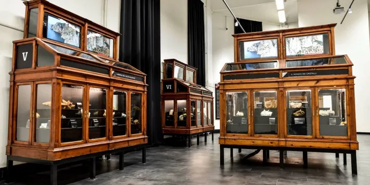 Museo mineralogico sardo