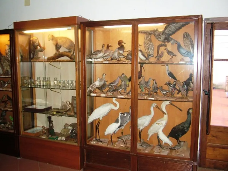 Museo naturalistico "F. Minà Palumbo"