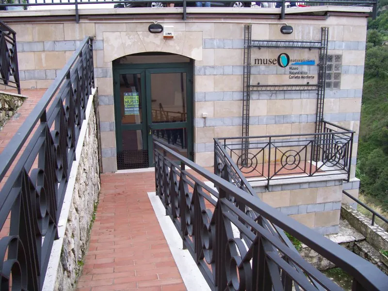 Museo naturalistico - Fondazione Iridia