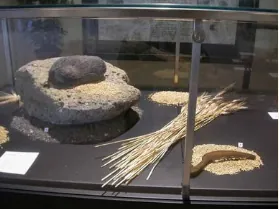 Museo Neolitico