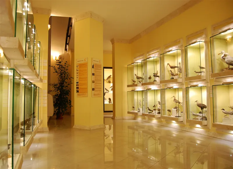 Museo ornitologico della Sardegna