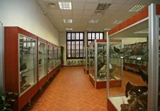 Museo ornitologico di Piacenza