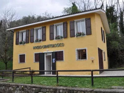 Museo ornitologico "Massimino della Riva"