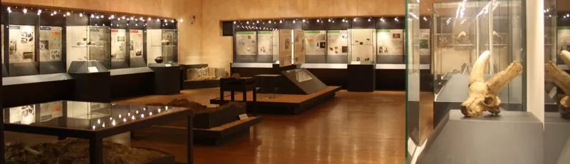 Museo paleontologico e preistorico