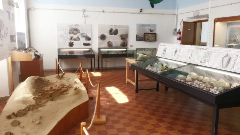 Museo paleontologico scienza della terra del Gamps