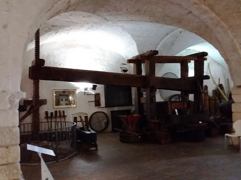 Museo provinciale del vino