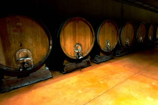 Museo Ratti dei vini di Alba