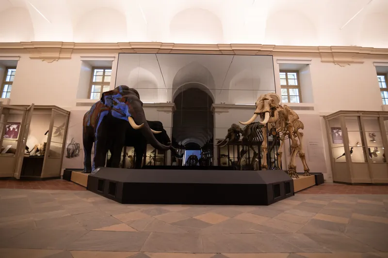 Museo regionale di scienze naturali