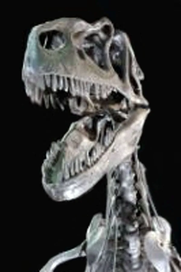 Museo universitario di paleontologia