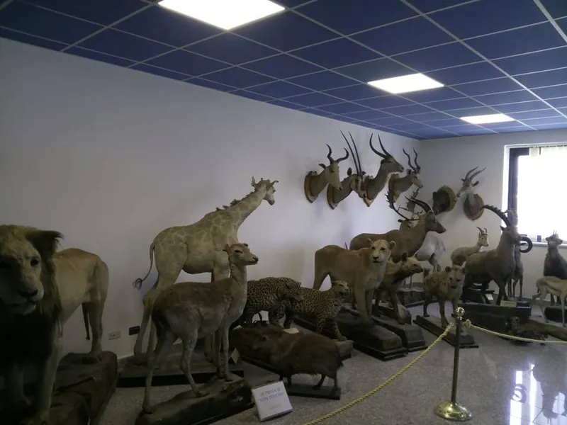Museo zoologico Cambrìa