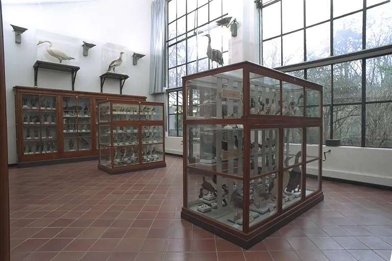 Must – Museo di Storiografia Naturalistica