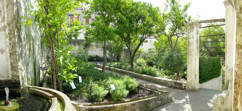Orto botanico Giardino della Minerva