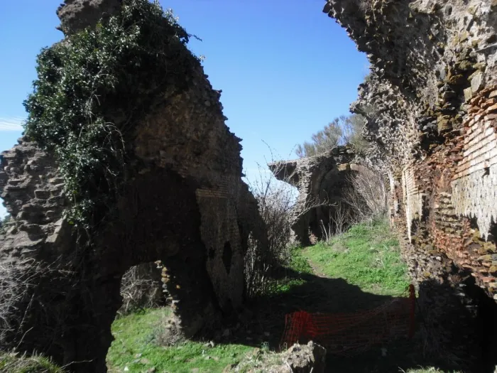 Parco archeologico culturale di Tuscolo