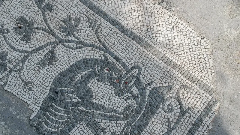 Parco archeologico di Altino