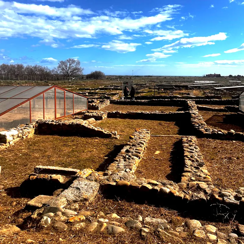 Parco archeologico di Herakleia - I Mosaici