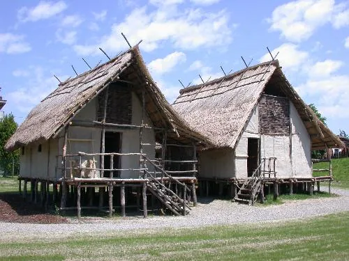 Parco archeologico e Museo all'aperto della Terramara di Montale