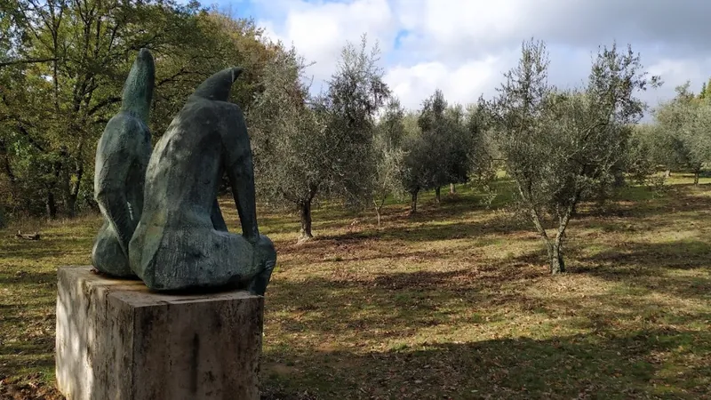 Parco Museo di Poggio Valicaia