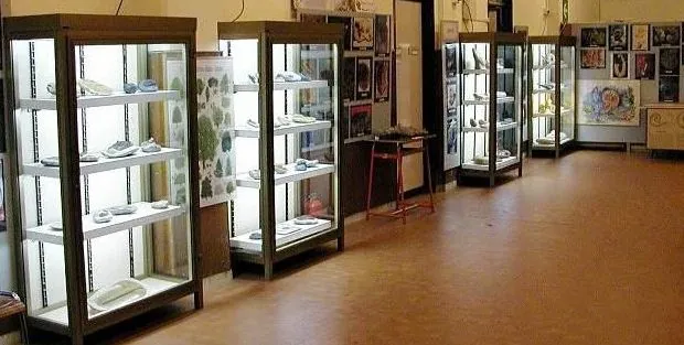 Raccolta dell'associazione piemontese di mineralogia e paleontologia