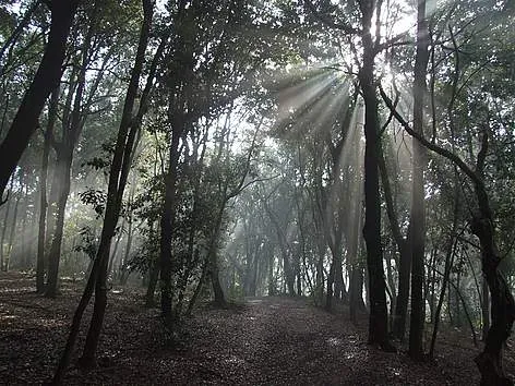 Reggia di Caserta - Oasi di San Silvestro