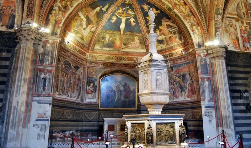 Simus - Museo anatomico Leonetto Comparini