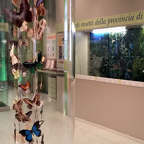 Teatro delle scienze - Museo di scienze naturali e laboratorio di astronomia