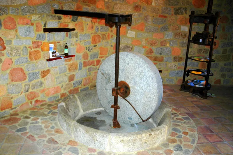 Vecchi frantoi