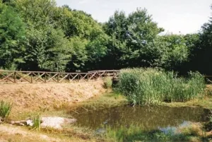 Zona palustre